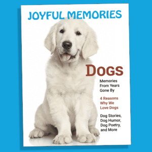 Dementia-friendly magazine about dogs